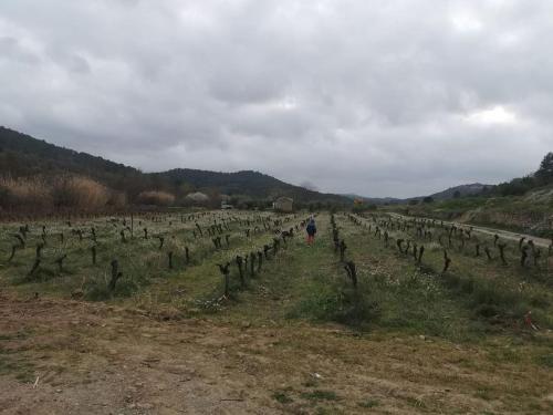 Maison paisible au cœur des corbieres