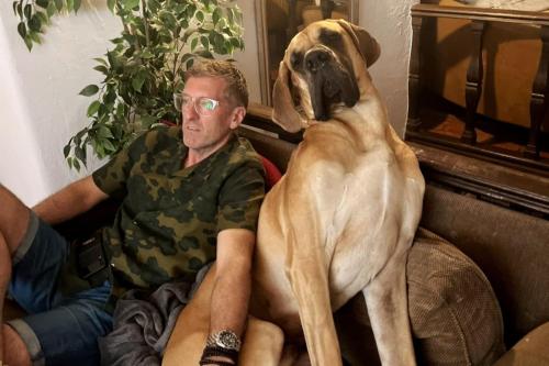 available 6 gîte à louer Santa Maria