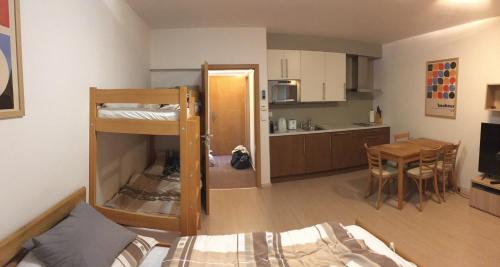 Family studio Resident s terasou a garáží (Family studio Resident s terasou, garazi, kuchynskou linkou, vhodne i pro rodiny s detmi, u sjezdovk) in Harrachov