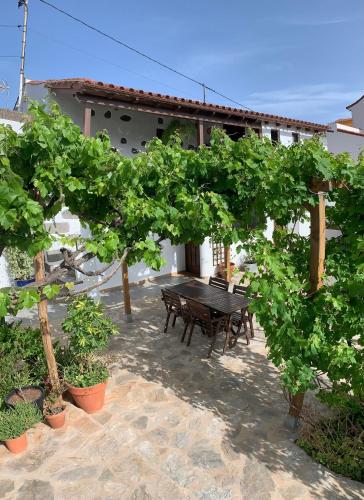 La Casa de Arriba, private rooms in Teror, Gran Canaria in 特里