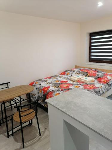 Studio Třeboň (Studio Trebon) in Trebon