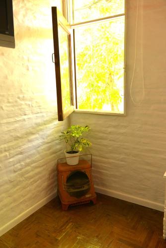 Ginkgo Hostel La Plata