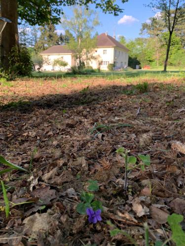Exterior view, Domaine de Beauvilliers in Luzarches