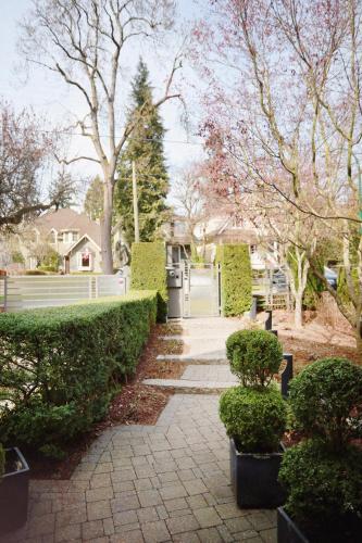 Modern 1 BedSuite in Kerrisdale, access UBC Downtown YVR in Vancouver, Canada