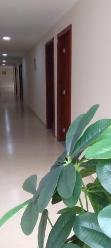 Pousada João & Maria (Pousada Joao & Maria) in Santa Maria Madalena