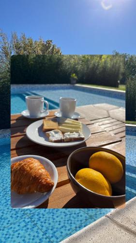 Vultur in Veinticinco de Mayo