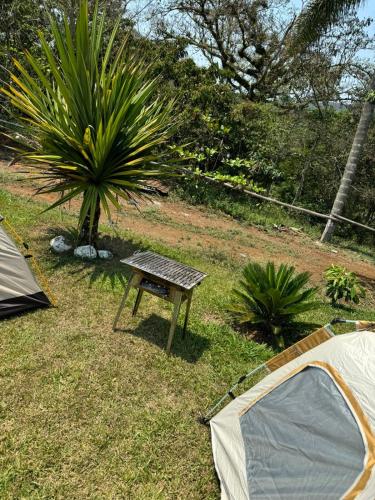 Rancho Beatriz camping