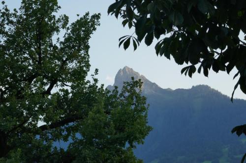 Apartment Sonnenlicht