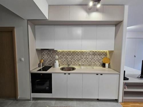 Milo Apartment, Skopje (photo 6)