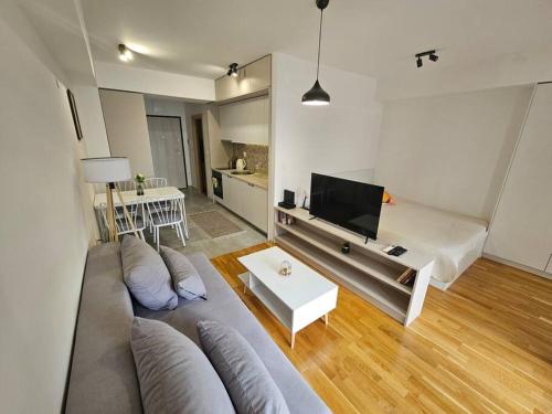 Milo Apartment, Skopje (photo 9)