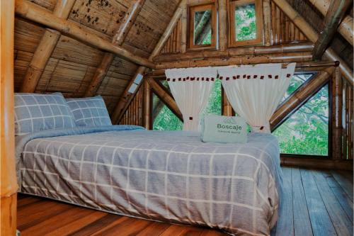 2 queen beds, 1 twin bed, 1 sofa bed