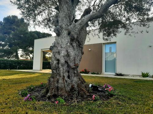 Il Giardino dei Coralli 1