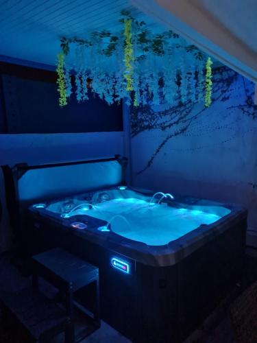 Banheira de hidromassagem, Gîte L'instant Cocooning (Gite L'instant Cocooning) in Baie-Mahault