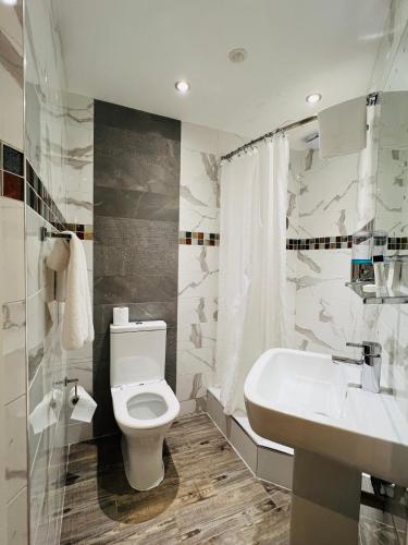 Cheshire Hotel Oxford Circus - image 8