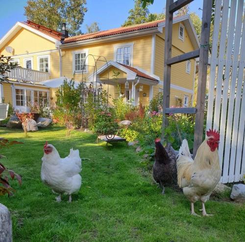 Stor sjönära Villa med Pool.