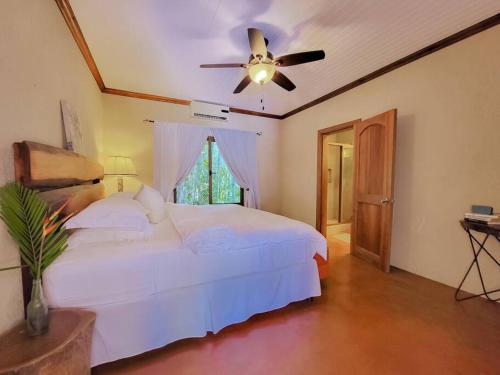 Vive Utila - Bed & Breakfast in אוטילה
