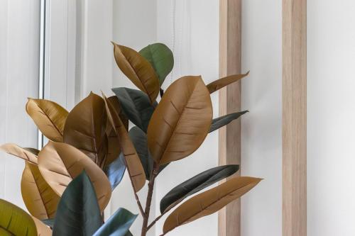 บริการและสิ่งอำนวยความสะดวก, AkomodaT en nuevo y precioso en Algorta con parking in เคตโช