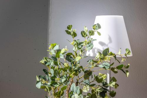 บริการและสิ่งอำนวยความสะดวก, AkomodaT en nuevo y precioso en Algorta con parking in เคตโช