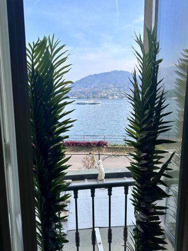 Griante Gem Lake Como - Apartment - Griante Cadenabbia