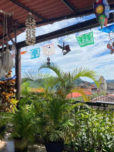 Grann Posada Xilitla