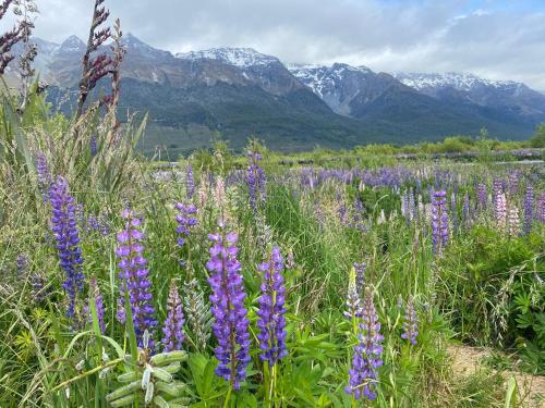 Glenorchy Retreat Apartment in Glenorchy