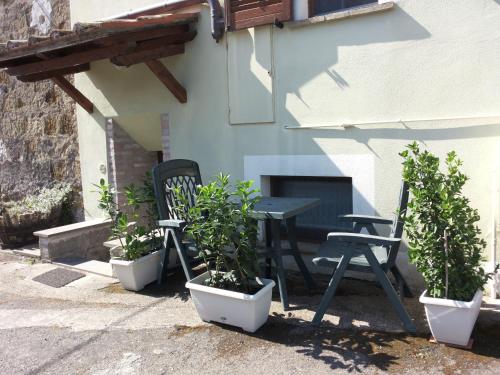 Green House near Civita di Bagnoregio - amazing panoramic view - Free Wi-fi