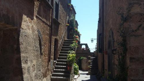 Green House near Civita di Bagnoregio - amazing panoramic view - Free Wi-fi