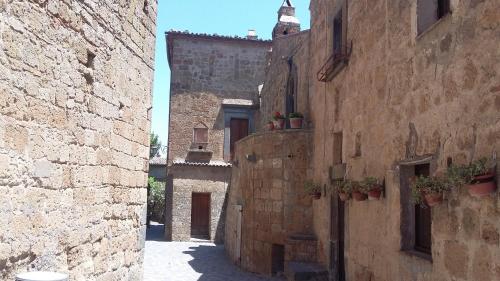 Green House near Civita di Bagnoregio - amazing panoramic view - Free Wi-fi