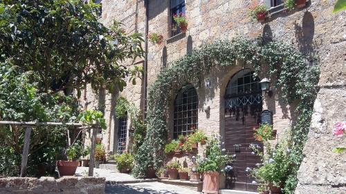 Green House near Civita di Bagnoregio - amazing panoramic view - Free Wi-fi