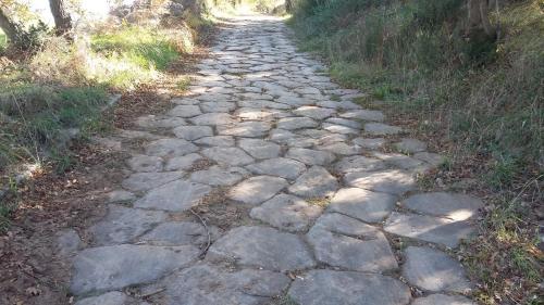 Green House near Civita di Bagnoregio - amazing panoramic view - Free Wi-fi