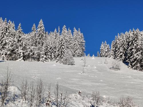 Berggasthaus Präger Böden