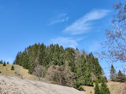 Berggasthaus Präger Böden