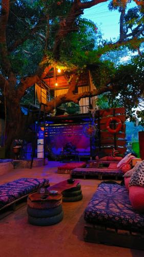 Exterior view, Mitra Hostel in Arambol Beach