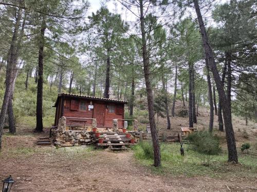 Cabaña los chorros