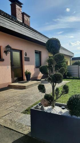 Haus am Ring Haus am Ring