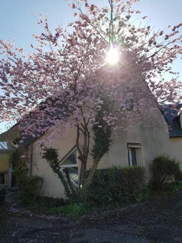 Maison de campagne à la ville