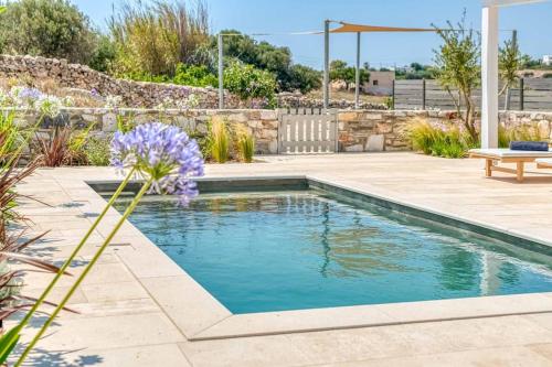 Villamar - Private villa with pool in Naoussa
