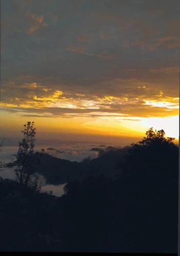 Sharry's Homestay-6OO6I77985