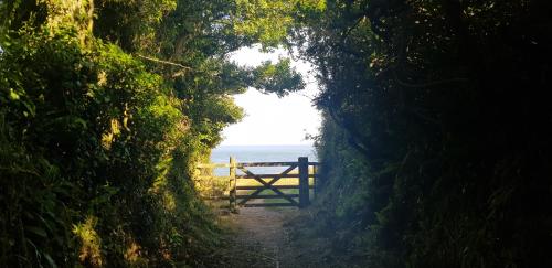 Cottage close to the Sea - Polperro, Looe & Fowey