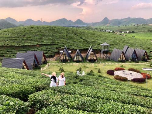 Thung Lũng Ba Đồi Chè, Mộc Châu
