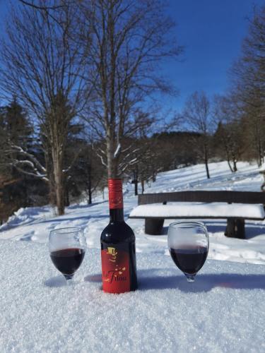 Sauerland-AlmWinterberg in Hallenberg, Deutschland