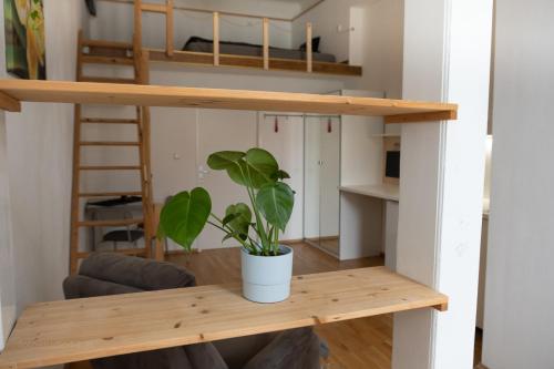 Hochbett in Graz, Österreich