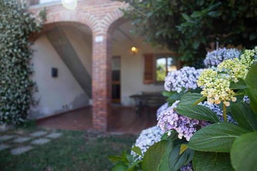 Ferienwohnung für 5 Personen ca 70 qm in Pisano, Piemont Lago Maggiore