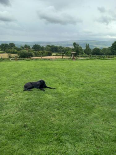 Hay View Lodges - Barn End