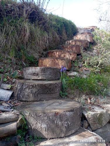 Roseland, retraite calme en pleine nature