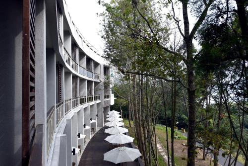 Sun Moon Lake Bamboo Rock Garden