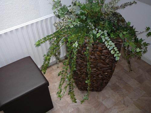 德瑞塔内酒店 德瑞塔内酒店