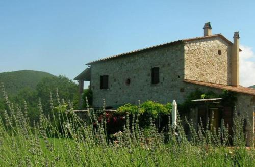 Ferienwohnung in Castellina Marittima mit Grill und Garten