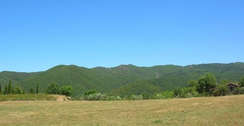 Ferienwohnung in Castellina Marittima mit Grill und Garten