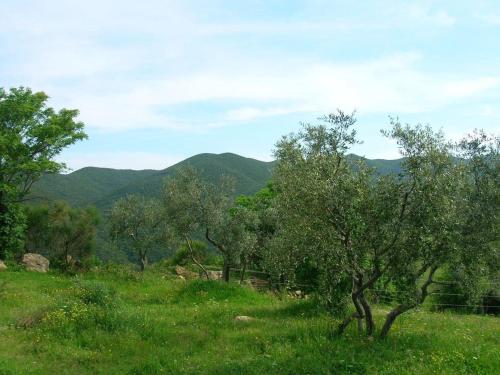 Ferienwohnung in Castellina Marittima mit Grill und Garten